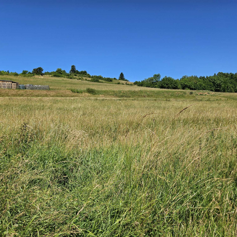  Nehnuteľnosti / PREDAJ: pozemok na výstavbu domu, chaty Dolná Lehota /pár min. od Krpáčova/ - foto