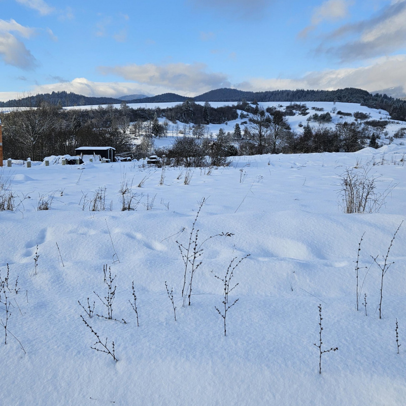  Nehnuteľnosti / PREDAJ: pozemok na výstavbu domu, chaty Dolná Lehota /pár minút na Krpáčovo/ - foto