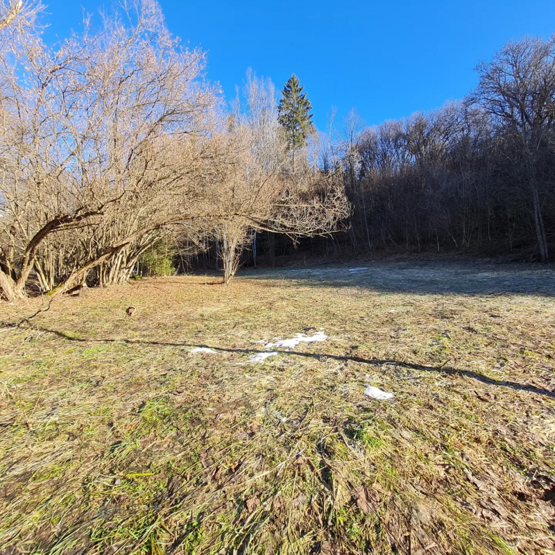  Nehnuteľnosti / PREDAJ- pozemok na výstavbu chaty 800m2 Dolná Lehota  - foto