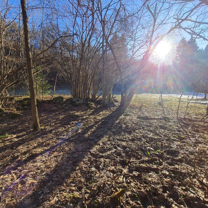  Nehnuteľnosti / PREDAJ- pozemok na výstavbu chaty 800m2 Dolná Lehota  - foto