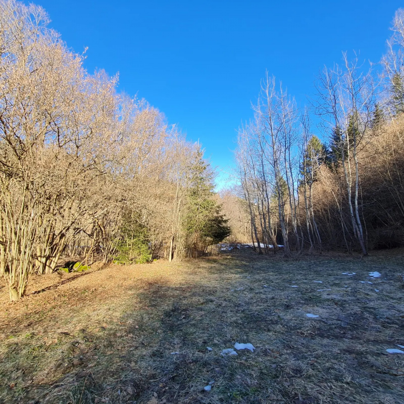  Nehnuteľnosti / PREDAJ- pozemok na výstavbu chaty 800m2 Dolná Lehota  - foto