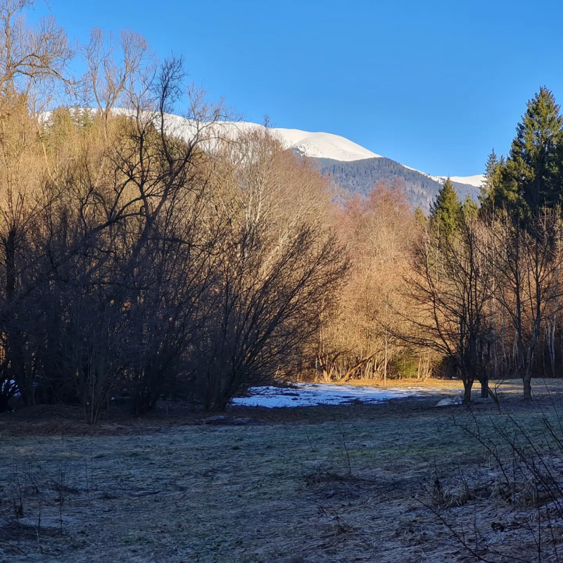  Nehnuteľnosti / PREDAJ- pozemok na výstavbu chaty 800m2 Dolná Lehota  - foto