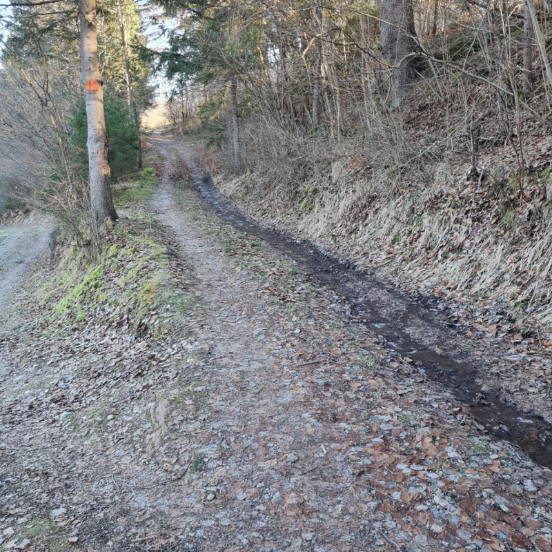  Nehnuteľnosti / PREDAJ- pozemok na výstavbu chaty 800m2 Dolná Lehota  - foto