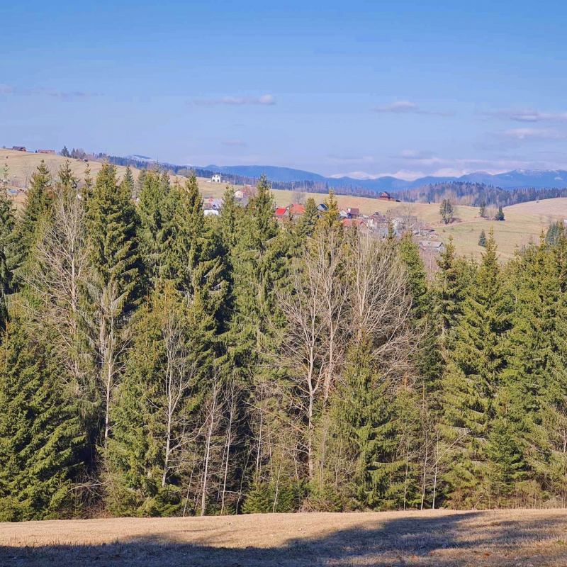  Nehnuteľnosti / PREDAJ: parcely v Lome nad Rimavicou 37053m2 - foto