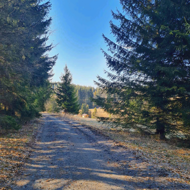  Nehnuteľnosti / PREDAJ: parcely v Lome nad Rimavicou 37053m2 - foto