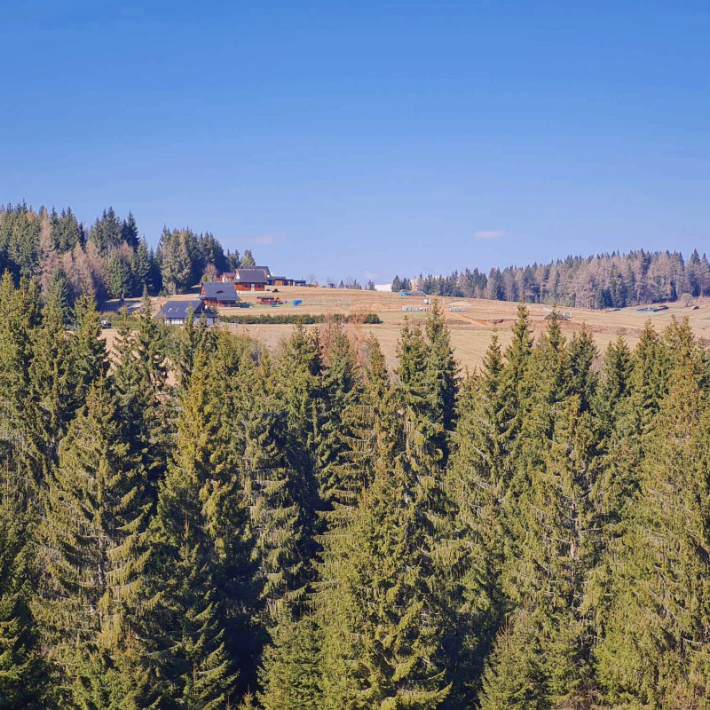  Nehnuteľnosti / PREDAJ: parcely v Lome nad Rimavicou 37053m2 - foto