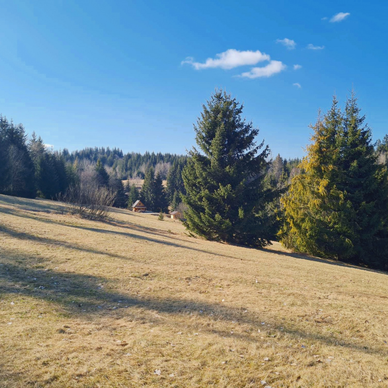 Nehnuteľnosti / PREDAJ: parcely v Lome nad Rimavicou 37053m2 - foto