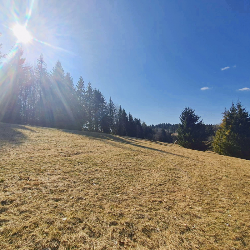  Nehnuteľnosti / PREDAJ: parcely v Lome nad Rimavicou 37053m2 - foto