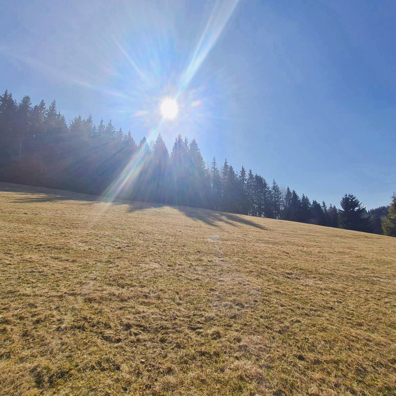  Nehnuteľnosti / PREDAJ: parcely v Lome nad Rimavicou 37053m2 - foto