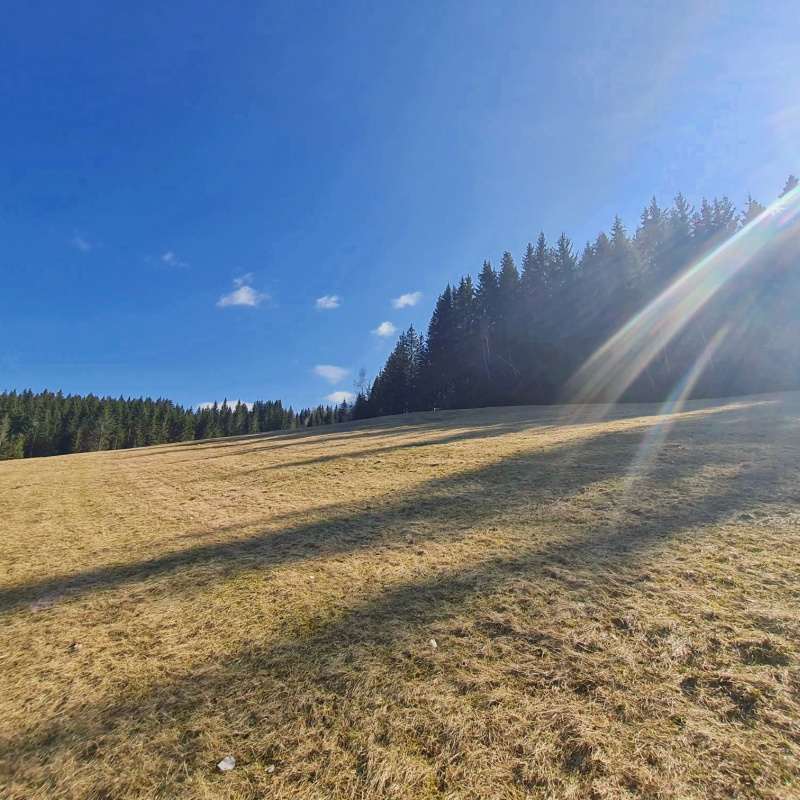  Nehnuteľnosti / PREDAJ: parcely v Lome nad Rimavicou 37053m2 - foto