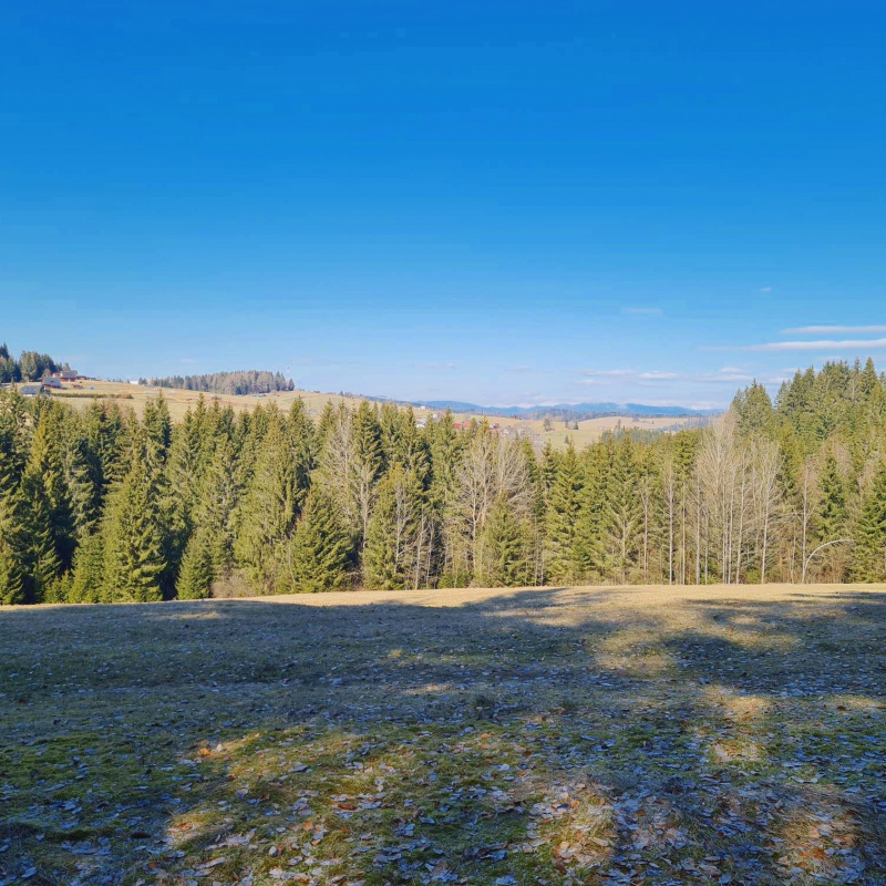  Nehnuteľnosti / PREDAJ: parcely v Lome nad Rimavicou 37053m2 - foto