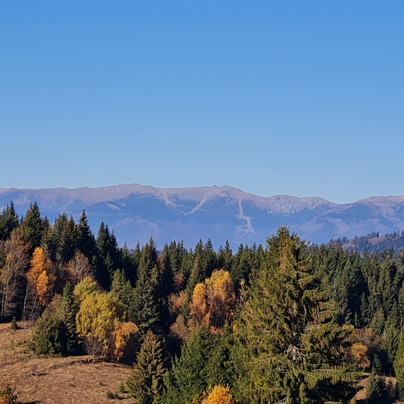  Nehnuteľnosti / PREDAJ: pozemok na výstavbu chalupy Lom n/Rimavicou 1790m2 - foto