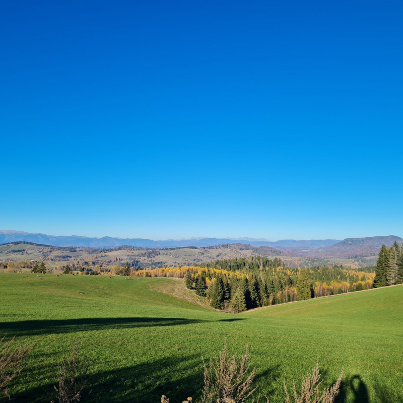  Nehnuteľnosti / PREDAJ: pozemok na výstavbu chalupy Lom n/Rimavicou 1790m2 - foto