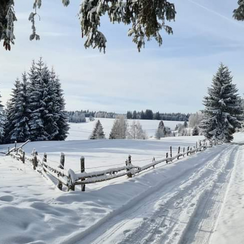  Nehnuteľnosti / PREDAJ: pozemok na výstavbu chalupy Lom n/Rimavicou 1790m2 - foto