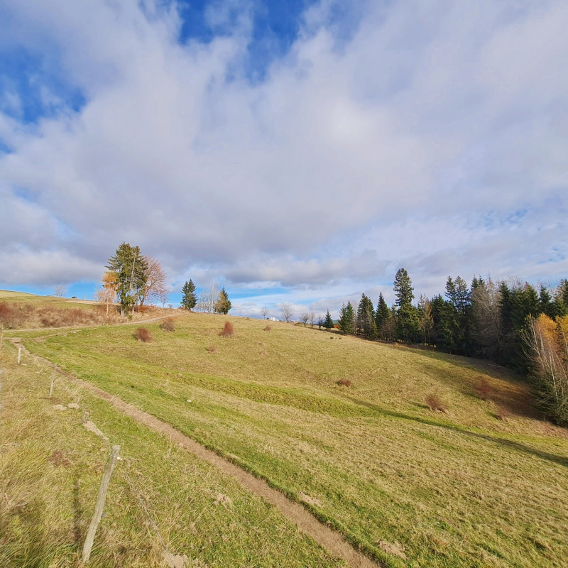  Nehnuteľnosti / PREDAJ: pozemok na výstavbu chalupy Lom n/Rimavicou 1790m2 - foto