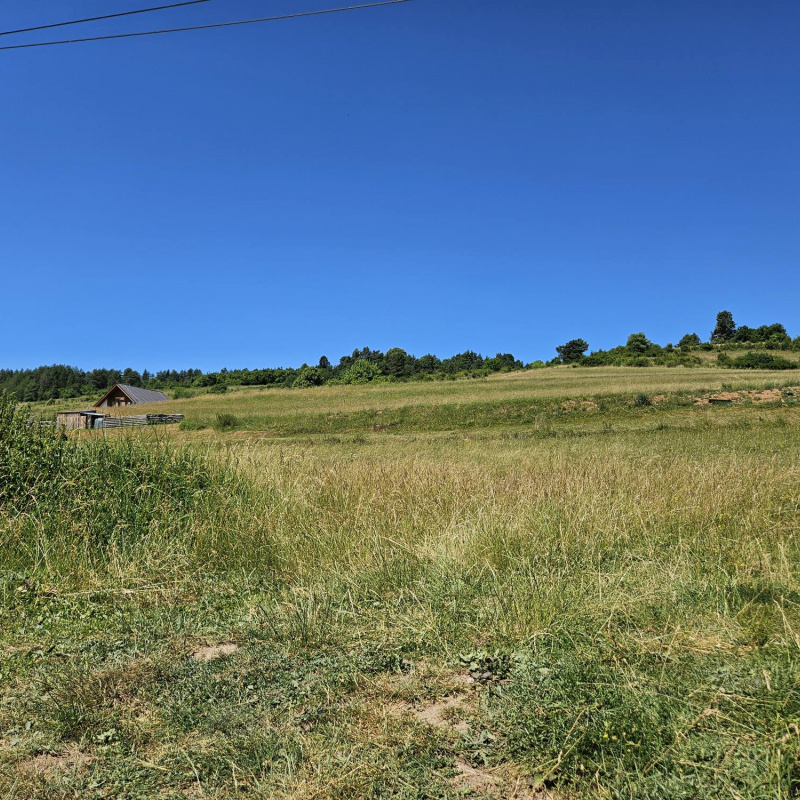  Nehnuteľnosti / PREDAJ: pozemok na výstavbu domu, chaty Dolná Lehota /pár minút na Krpáčovo/ - foto