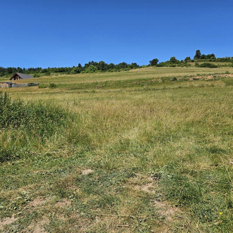  Nehnuteľnosti / PREDAJ: pozemok na výstavbu domu, chaty Dolná Lehota /pár minút na Krpáčovo/ - foto