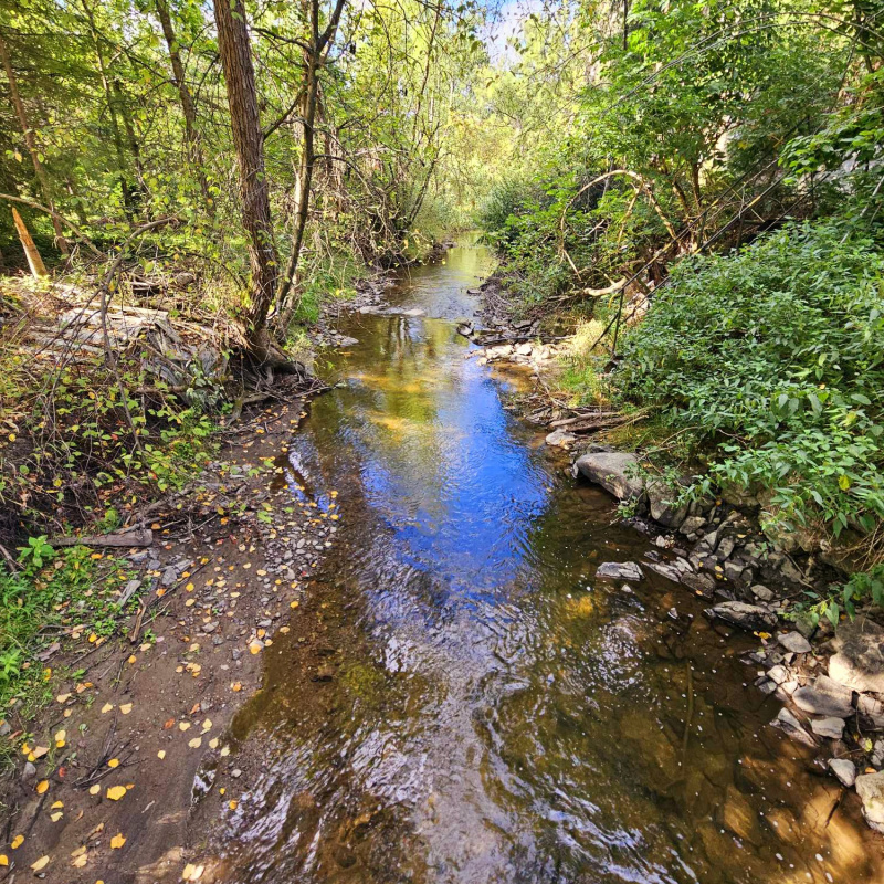  Nehnuteľnosti / PREDAJ: záhradná chatka Padličkovo (Brezno) - foto