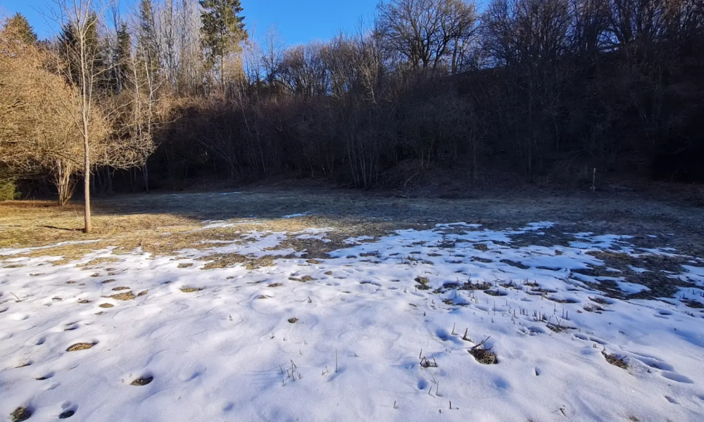 PREDAJ- pozemok na výstavbu chaty 800m2 Dolná Lehota 