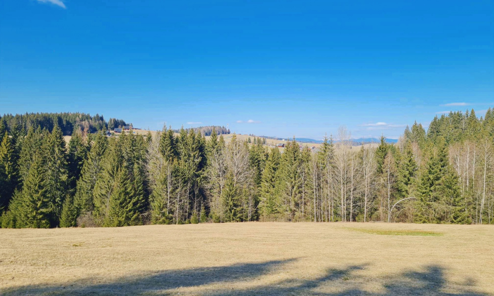 PREDAJ: parcely v Lome nad Rimavicou 37053m2