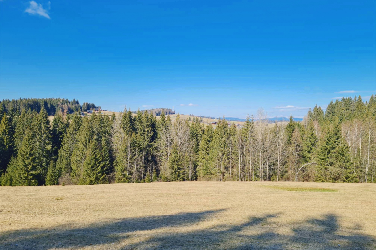 PREDAJ: parcely v Lome nad Rimavicou 37053m2