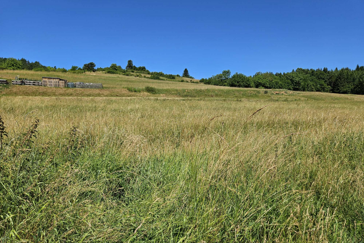 PREDAJ: pozemok na výstavbu domu, chaty Dolná Lehota /pár min. od Krpáčova/
